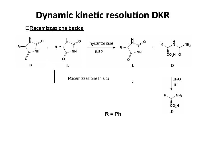 Dynamic kinetic resolution DKR q. Racemizzazione basica hydantoinase Racemizzazione In situ R = Ph
