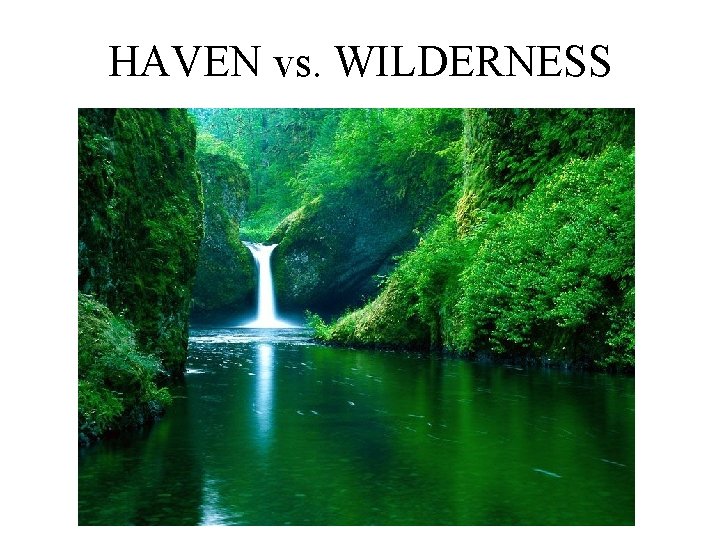 HAVEN vs. WILDERNESS 