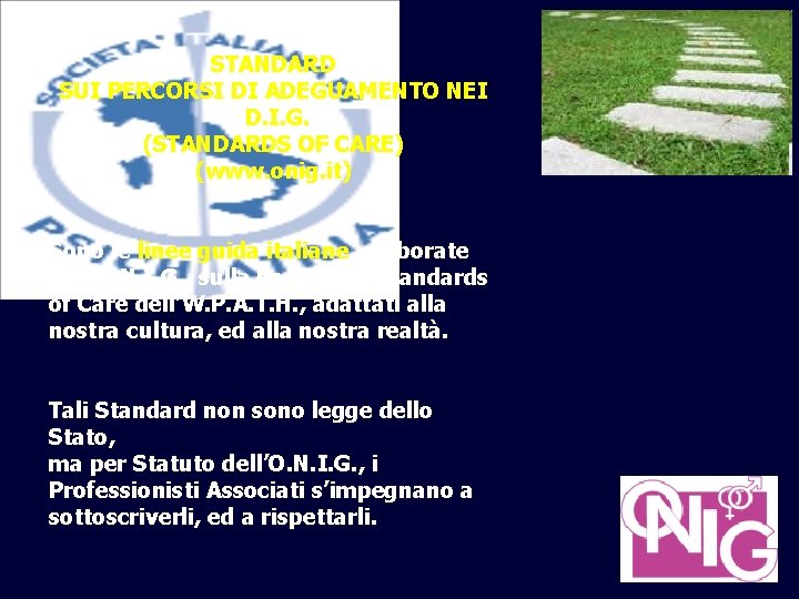 STANDARD SUI PERCORSI DI ADEGUAMENTO NEI D. I. G. (STANDARDS OF CARE) (www. onig.