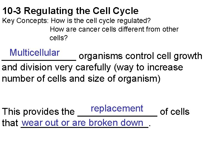 10 -3 Regulating the Cell Cycle Key Concepts: How is the cell cycle regulated?
