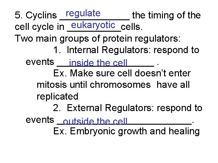 regulate 5. Cyclins _______ the timing of the eukaryotic cell cycle in _____cells. Two