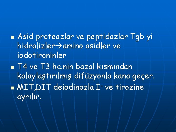 n n n Asid proteazlar ve peptidazlar Tgb yi hidrolizler amino asidler ve iodotironinler