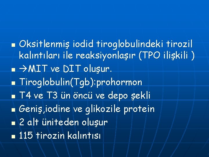 n n n n Oksitlenmiş iodid tiroglobulindeki tirozil kalıntıları ile reaksiyonlaşır (TPO ilişkili )