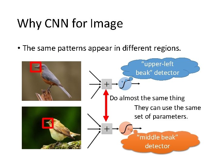 Why CNN for Image • The same patterns appear in different regions. “upper-left beak”