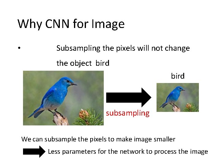 Why CNN for Image • Subsampling the pixels will not change the object bird