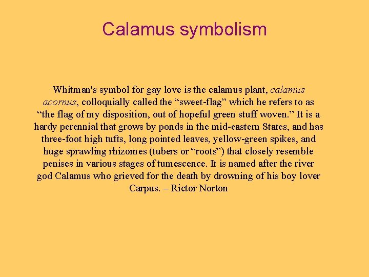 Calamus symbolism Whitman's symbol for gay love is the calamus plant, calamus acornus, colloquially