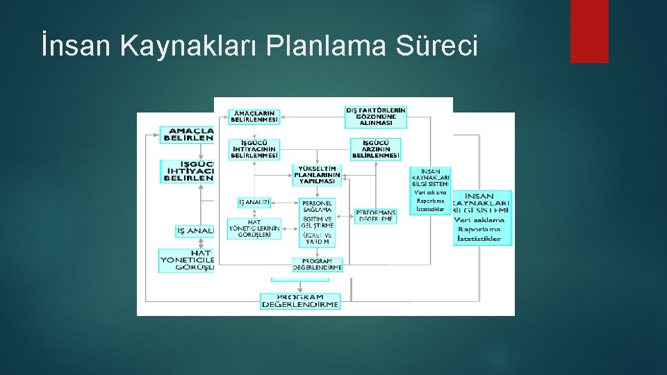 İnsan Kaynakları Planlama Süreci 