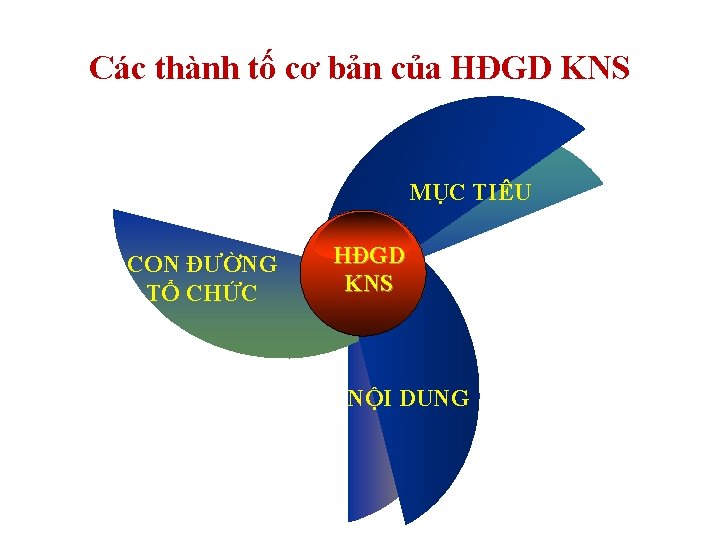 Các thành tố cơ bản của HĐGD KNS MỤC TIÊU CON ĐƯỜNG TỔ CHỨC