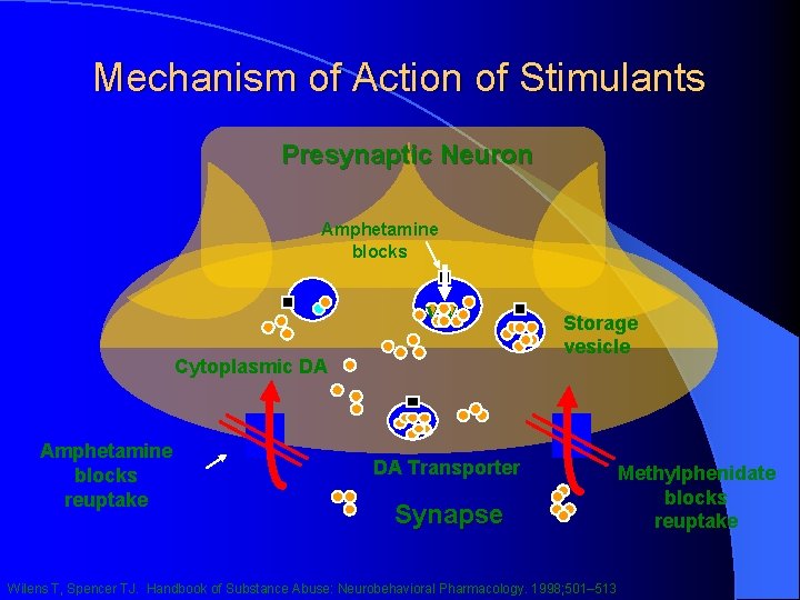Mechanism of Action of Stimulants Presynaptic Neuron Amphetamine blocks vv Cytoplasmic DA Amphetamine blocks