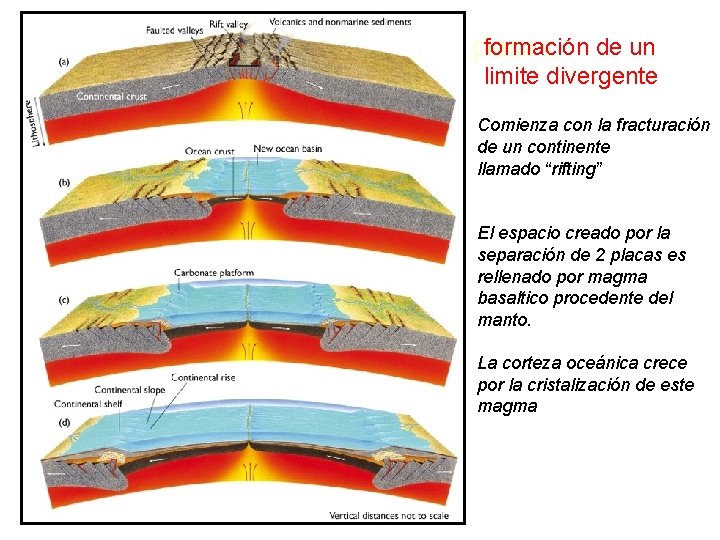 formación de un Tema 2: Tectónica de placas. limite divergente Comienza con la fracturación formación de un Tema 2: Tectónica de placas. limite divergente Comienza con la fracturación