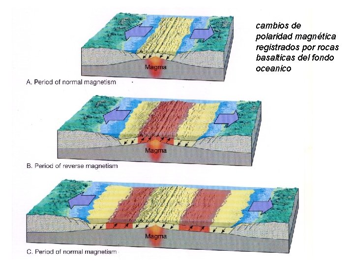 cambios de polaridad magnética registrados por rocas basalticas del fondo oceanico cambios de polaridad magnética registrados por rocas basalticas del fondo oceanico