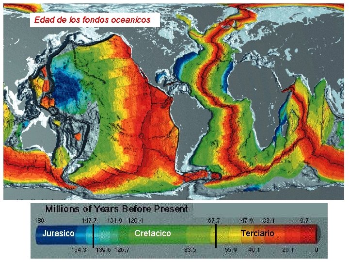 Edad de los fondos oceanicos Jurasico Cretacico Terciario Edad de los fondos oceanicos Jurasico Cretacico Terciario