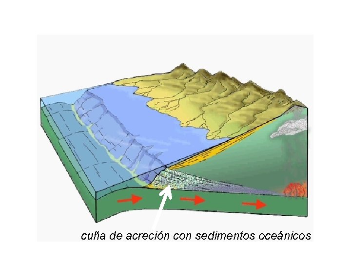 cuña de acreción con sedimentos oceánicos cuña de acreción con sedimentos oceánicos