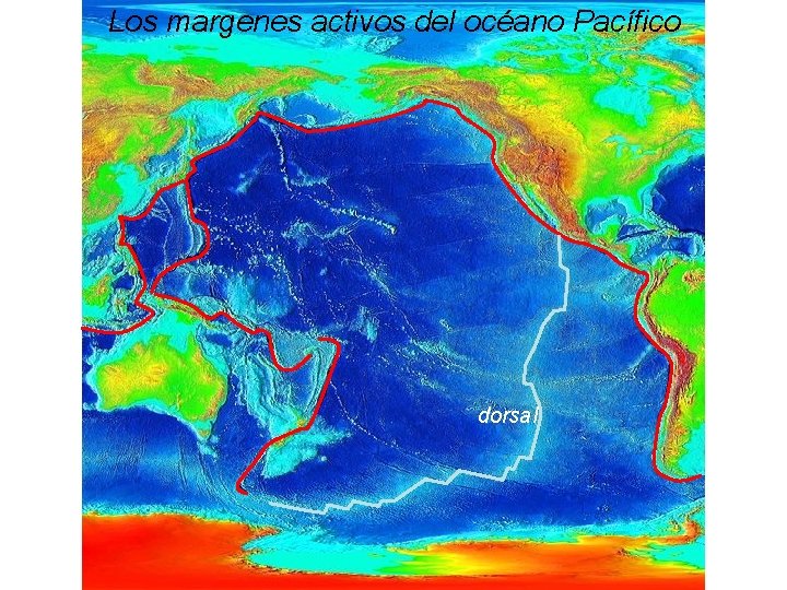 Los margenes activos del océano Pacífico dorsal Los margenes activos del océano Pacífico dorsal