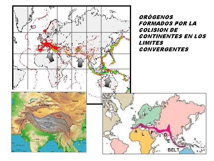 ORÓGENOS FORMADOS POR LA COLISION DE CONTINENTES EN LOS LIMITES CONVERGENTES ORÓGENOS FORMADOS POR LA COLISION DE CONTINENTES EN LOS LIMITES CONVERGENTES