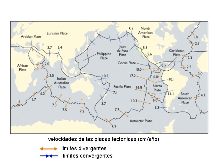 velocidades de las placas tectónicas (cm/año) limites divergentes limites convergentes velocidades de las placas tectónicas (cm/año) limites divergentes limites convergentes