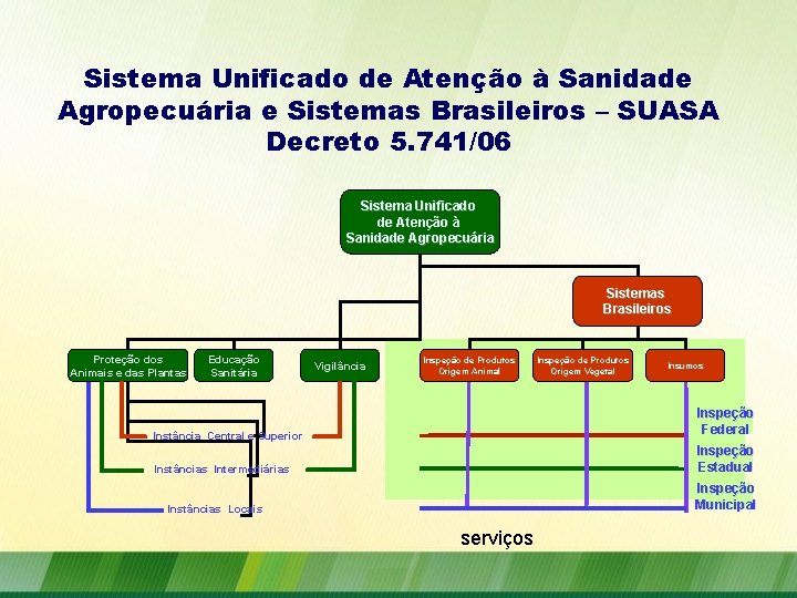 Sistema Unificado de Atenção à Sanidade Agropecuária e Sistemas Brasileiros – SUASA Decreto 5.