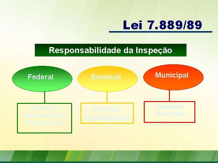 Lei 7. 889/89 Responsabilidade da Inspeção Federal Comércio Interestadual e internacional Estadual Comércio intermunicipa