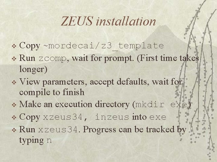 ZEUS installation Copy ~mordecai/z 3_template v Run zcomp, wait for prompt. (First time takes