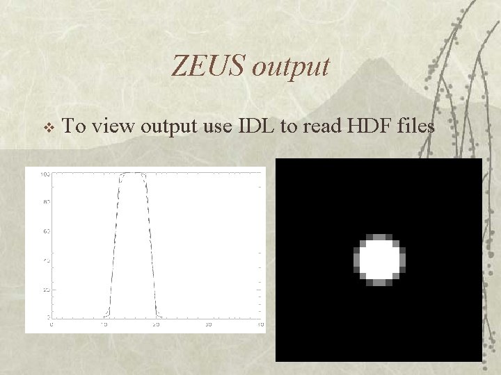 ZEUS output v To view output use IDL to read HDF files 