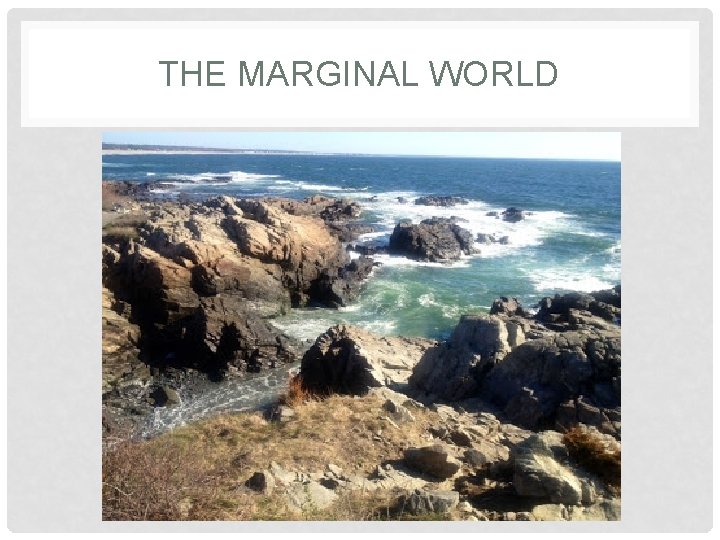 THE MARGINAL WORLD THE MARGINAL WORLD