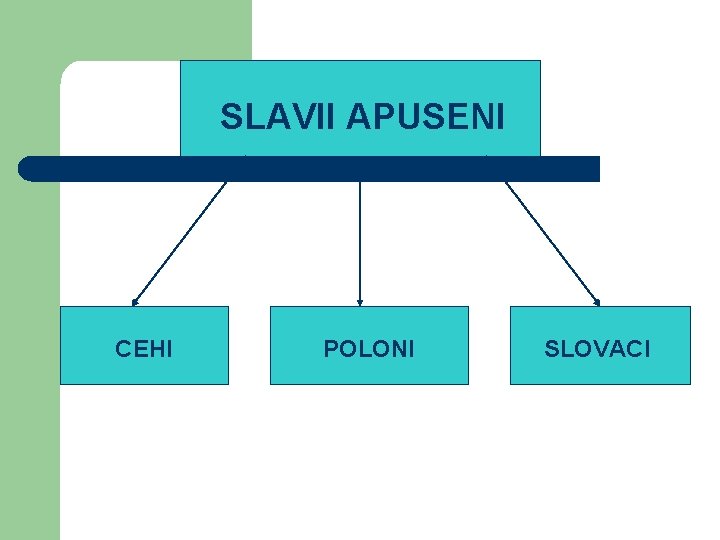 SLAVII APUSENI CEHI POLONI SLOVACI 