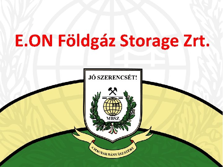 E. ON Földgáz Storage Zrt. 