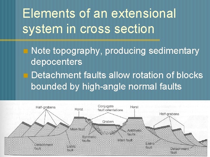 Normal faults Dominate extensional tectonic environments n Form