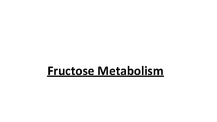 Fructose Metabolism 