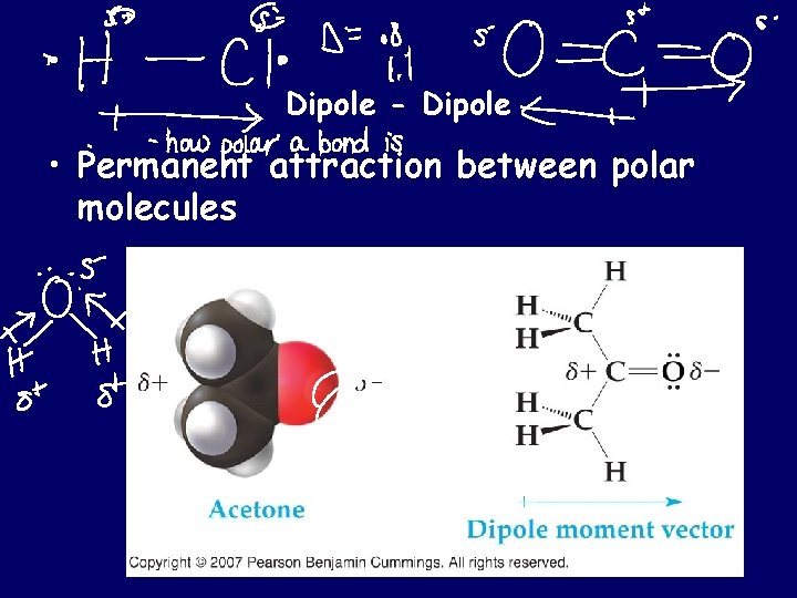 Dipole - Dipole • Permanent attraction between polar molecules 