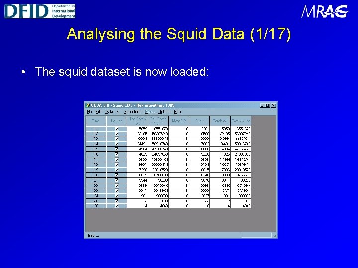 Analysing the Squid Data (1/17) • The squid dataset is now loaded: 