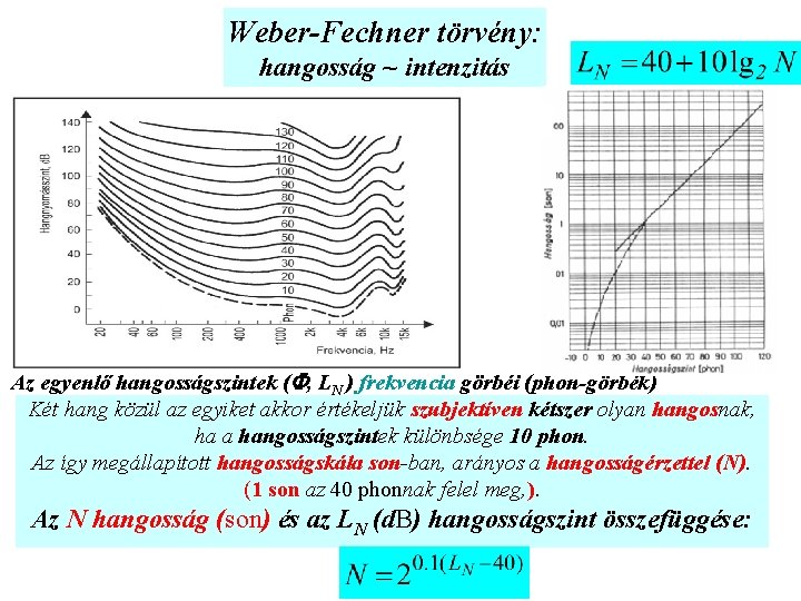 Weber-Fechner törvény: hangosság ~ intenzitás Az egyenlő hangosságszintek ( , LN ) frekvencia görbéi