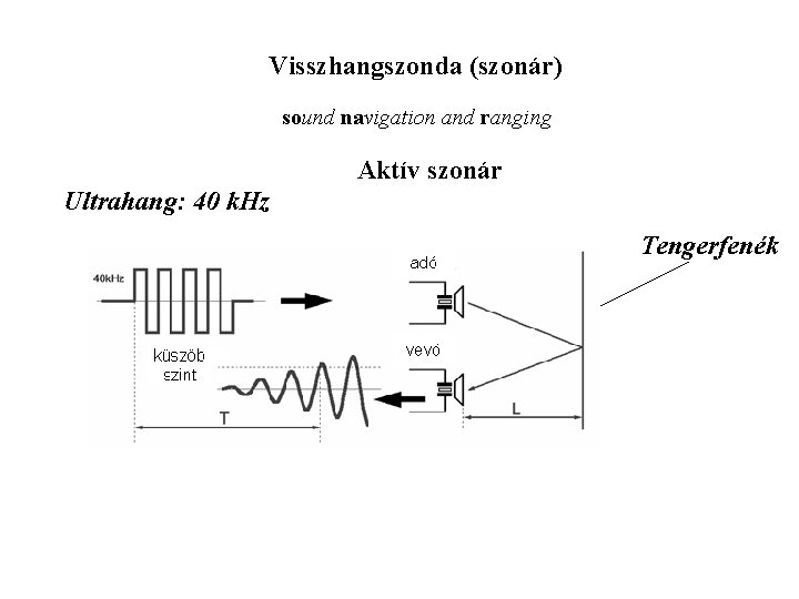Visszhangszonda (szonár) sound navigation and ranging Aktív szonár Ultrahang: 40 k. Hz Tengerfenék 