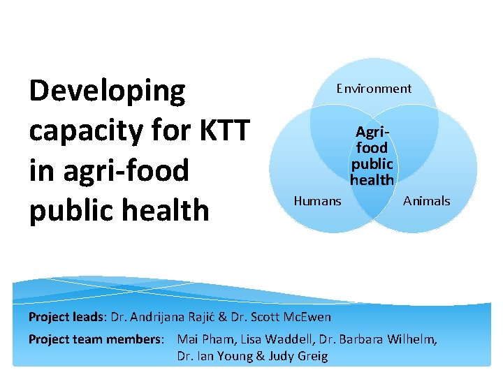 Developing capacity for KTT in agri-food public health Environment Agrifood public health Humans Animals