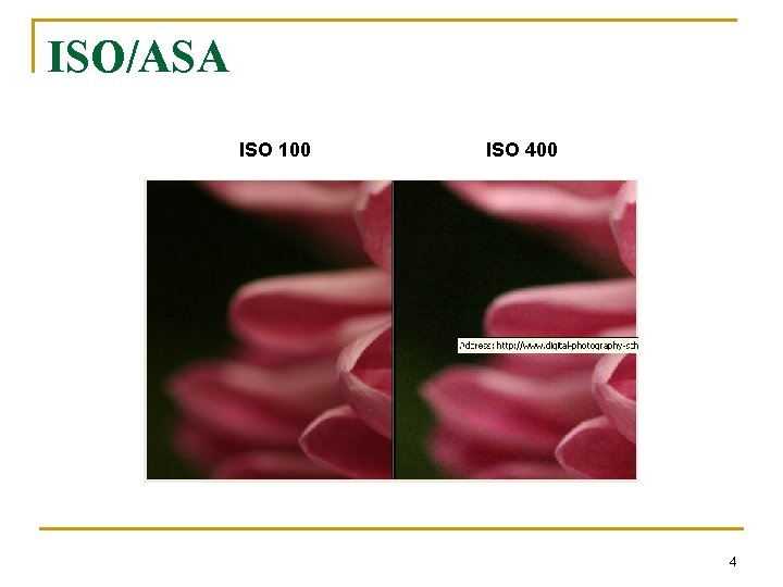 ISO/ASA ISO 100 ISO 400 4 