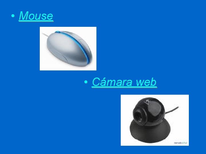  • Mouse • Cámara web 