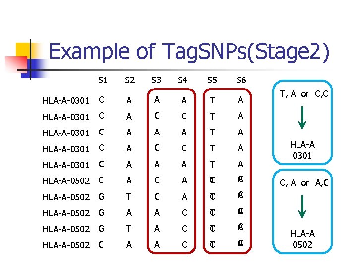 Example of Tag. SNPs(Stage 2) S 1 S 2 S 3 HLA-A-0301 C A