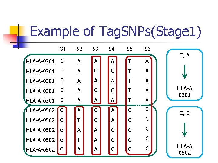 Example of Tag. SNPs(Stage 1) S 1 S 2 S 3 S 4 S