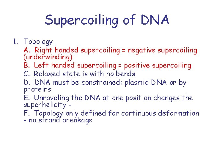 Supercoiling of DNA 1. Topology A. Right handed supercoiling = negative supercoiling (underwinding) B.