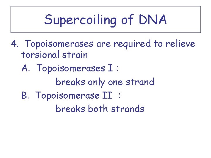 Supercoiling of DNA 4. Topoisomerases are required to relieve torsional strain A. Topoisomerases I