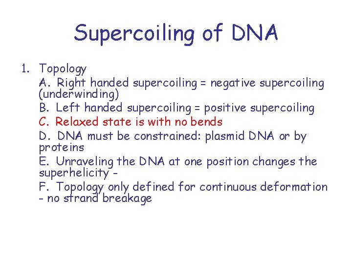Supercoiling of DNA 1. Topology A. Right handed supercoiling = negative supercoiling (underwinding) B.
