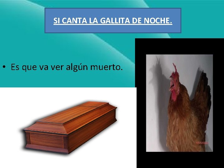 SI CANTA LA GALLITA DE NOCHE. • Es que va ver algún muerto. 