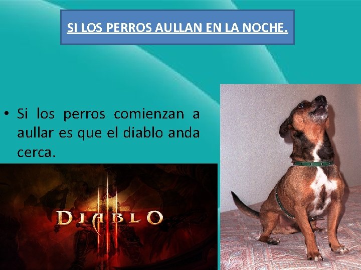 SI LOS PERROS AULLAN EN LA NOCHE. • Si los perros comienzan a aullar