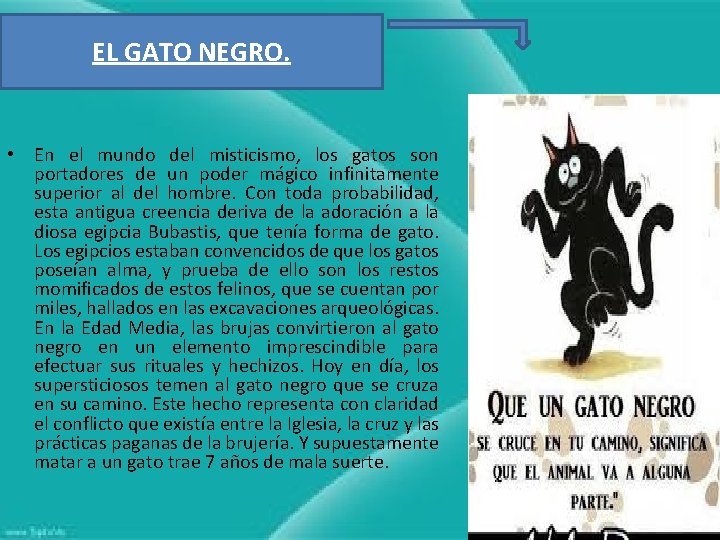 EL GATO NEGRO. • En el mundo del misticismo, los gatos son portadores de
