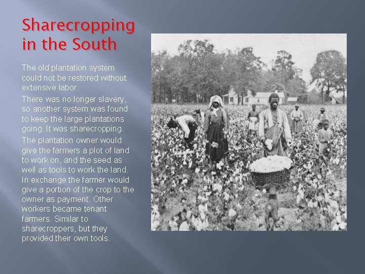 Sharecropping in the South The old plantation system could not be restored without extensive