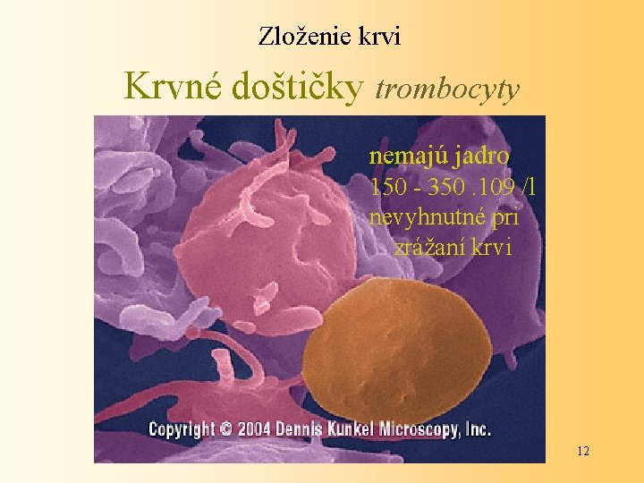 Zloženie krvi Krvné doštičky trombocyty nemajú jadro 150 - 350. 109 /l nevyhnutné pri