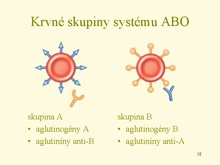 Krvné skupiny systému ABO skupina A • aglutinogény A • aglutiníny anti-B skupina B