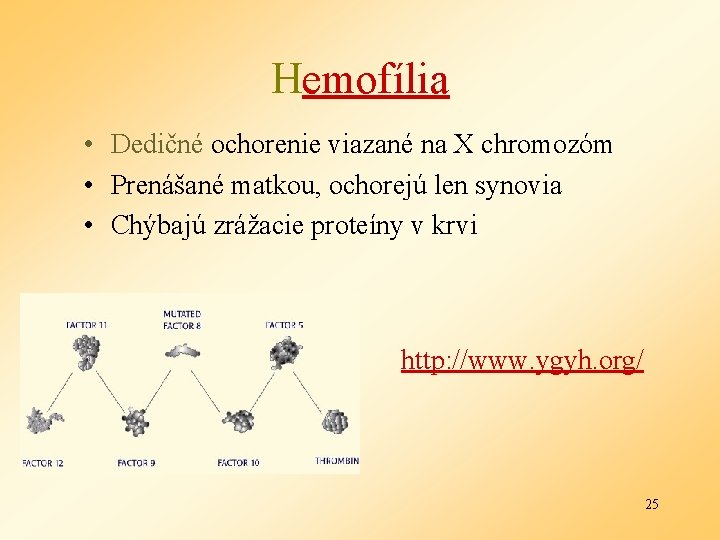 Hemofília • Dedičné ochorenie viazané na X chromozóm • Prenášané matkou, ochorejú len synovia