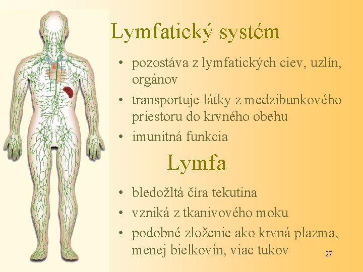 Lymfatický systém • pozostáva z lymfatických ciev, uzlín, orgánov • transportuje látky z medzibunkového