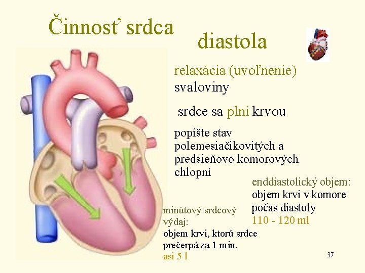 Činnosť srdca diastola relaxácia (uvoľnenie) svaloviny srdce sa plní krvou popíšte stav polemesiačikovitých a